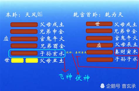 六爻意思|六爻是什么意思？